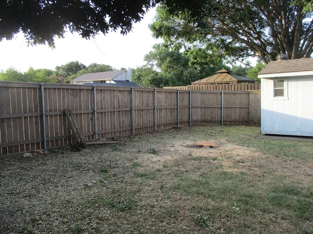 Cleared yard after professional tree removal in Saint Bernard