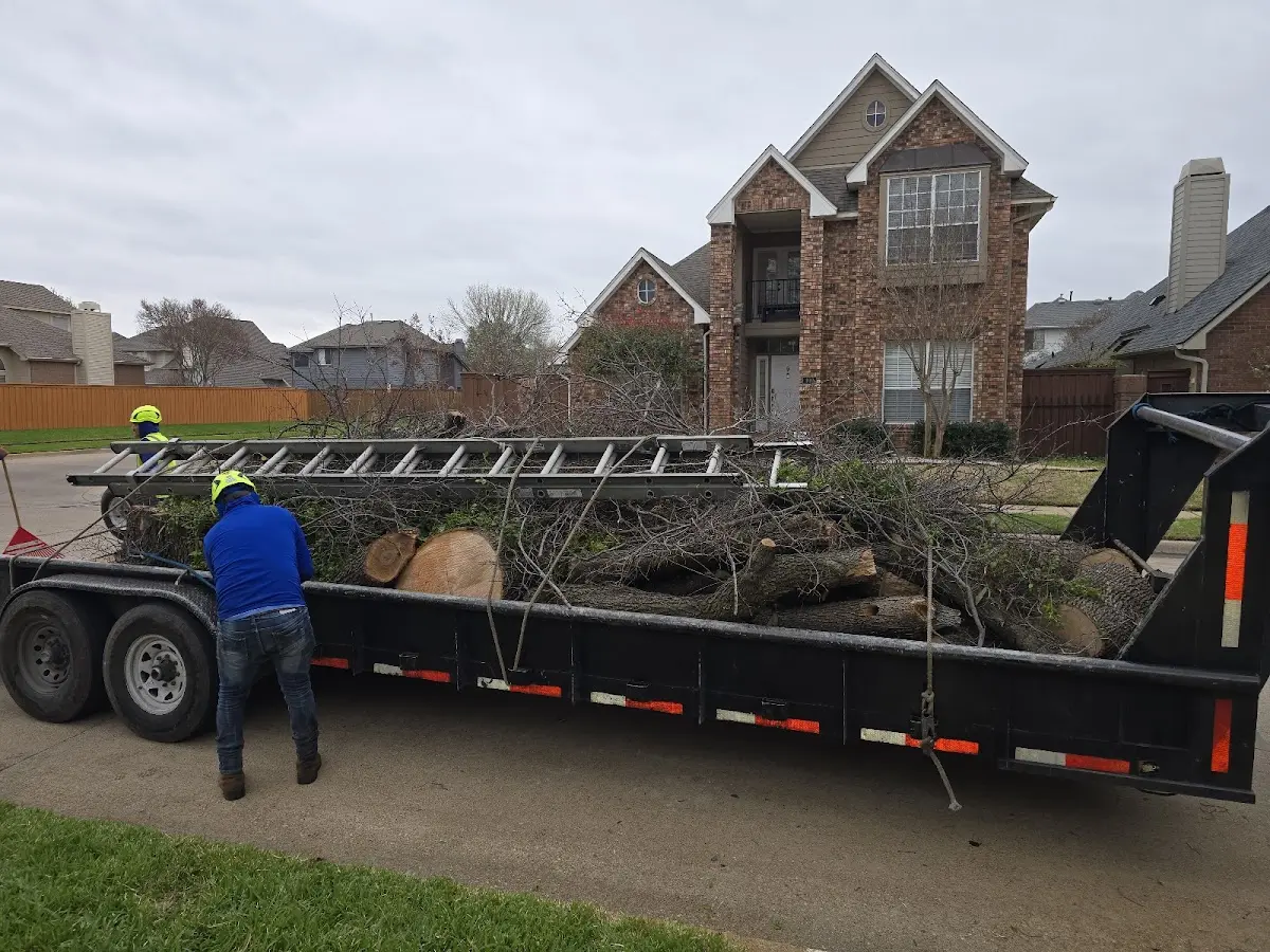 Expert Tree Pest Control with proper safety equipment in Saint Bernard